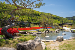 경주 라원, 학생단체 평일 7,000원…다음 달부터 특별할인