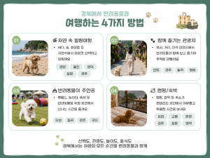 “경북 오면 견(犬)생이 즐거워진다!”