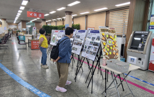 경주시보건소, 치매극복 주간행사 성료