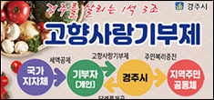 고향사랑기부제